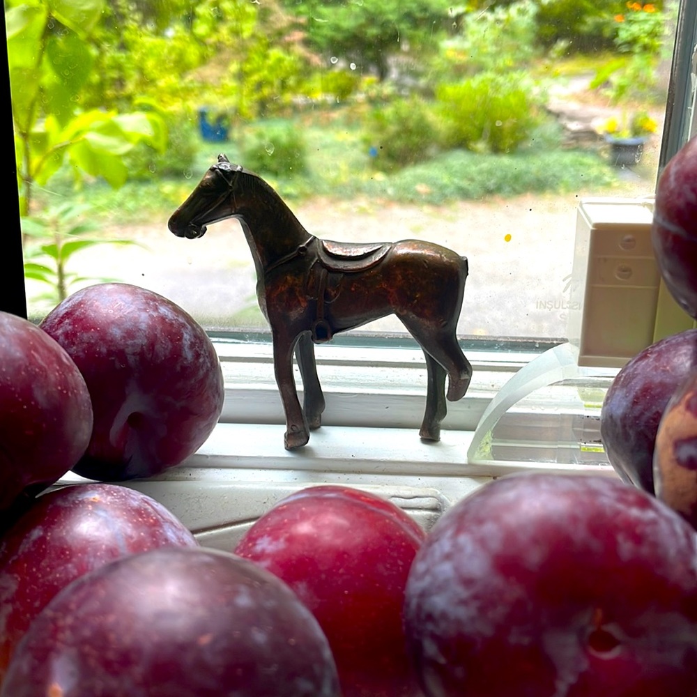BRONZE HORSE! Missing 1 ear and 1/2 hind leg + reins.PLUMS NOT INCLUDED😂